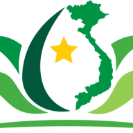Vietnam Dragon Travel