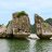 lotusvietnam