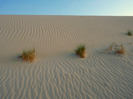 dunes tozeur