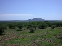 Parc National du Serengeti - La plaine du Serengeti