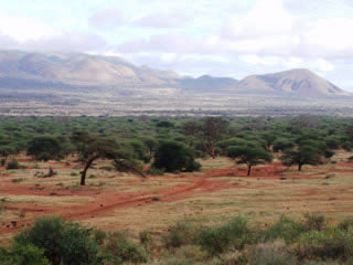 réserve Tsavo