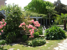 roseraie du jardin Christian Dior