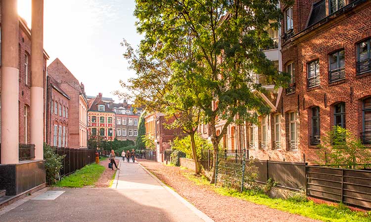 culture a lille