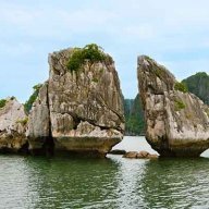 lotusvietnam