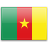 drapeau pour Cameroun