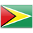 drapeau pour Guyana