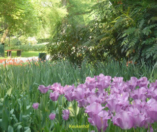 Parc floral de Keukeunof