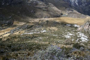 Cordillère blanche - Prairie (lac asséché)