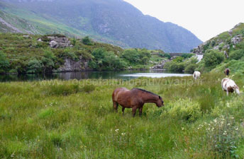 Gap Dunloe