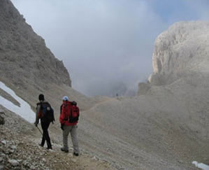 Randonnée sous la brume