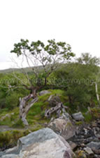 Gap dunloe