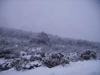 Neige