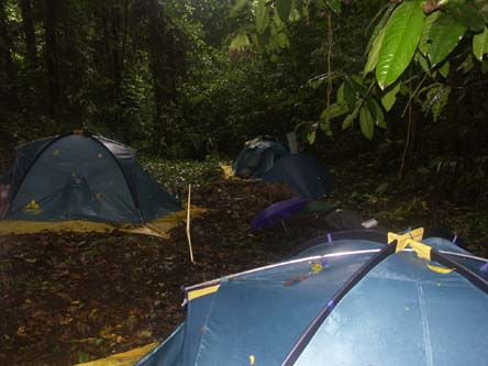 campement dans la forêt