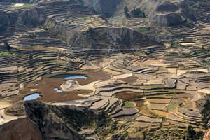 Canyon de Colca - Cultures en terrasse et lacs