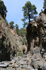 Barranco Las Angustias (La Palma)