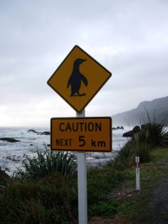 Attention aux pingouins