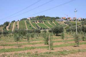 sur le chemin de San Marin