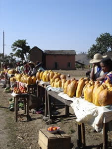 marchands de papayes