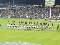 Haka des équipes