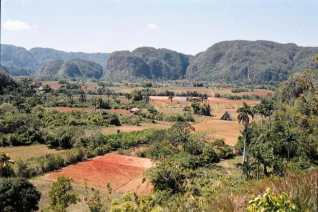 Vallée de Vinales