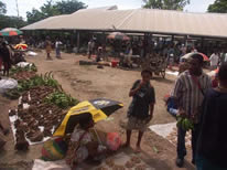 marché aux légumes