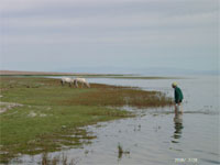 Tournon Paysage