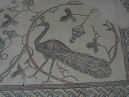 mozaique de l'église mont nebo