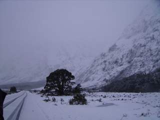 Neige