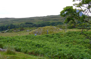 Connemara