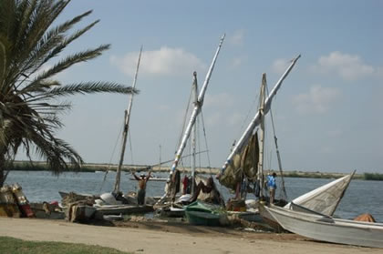 le lac manzala