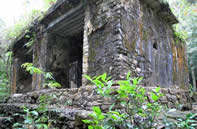 Palenque - Temple enfoui dans la forêt