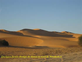 Des champs de dunes au nord de Nouakchott