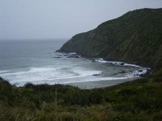 Baie Nugget Point