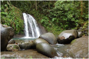 cascades aux ecrevisses