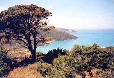 vue sur le port d'Igoumenitsa