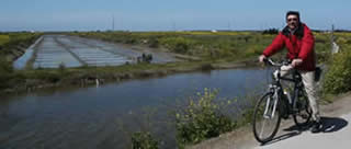 Groin à travers marais et plages