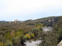 Monfort
