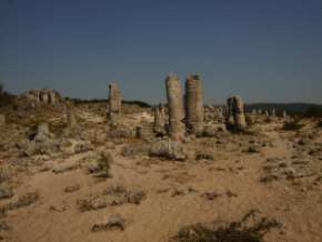 Pierres Plantées