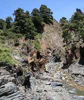 Caldera de Taburiente (La Palma) - Ruisseau