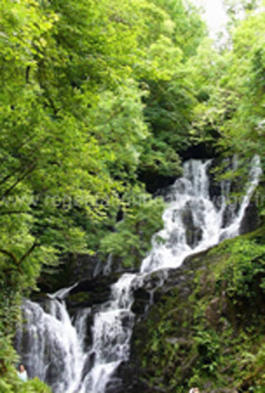 Parc Killarney