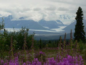 Nelchita Glacier