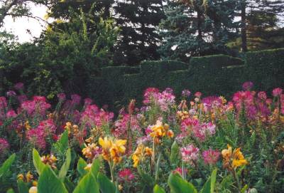 Jardin du Palais de l'été