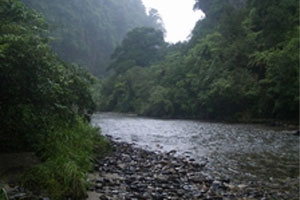 rivière Punakaiki