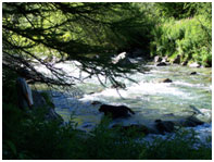 Cascade de Névache