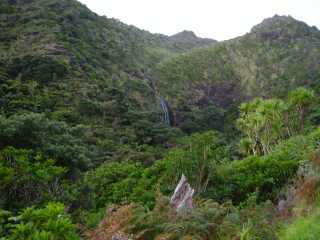 Cascade Auckland