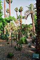 jardin de Majorelle