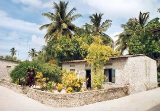 Habitation de l'île