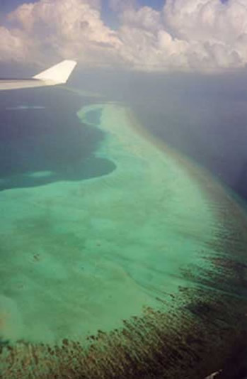 Lagon