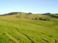 Northland