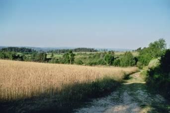 Plateau de la Margeride
